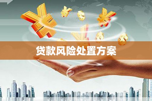 四会贷款风险处置方案