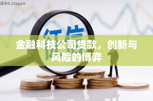 四会金融科技公司贷款，创新与风险的博弈