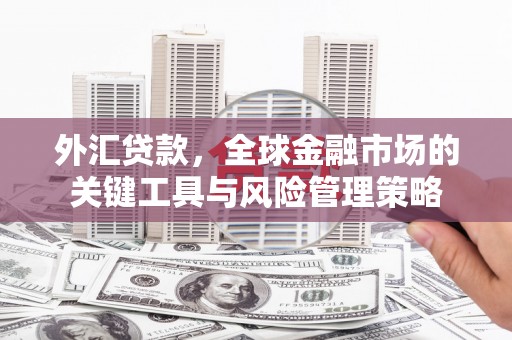 四会外汇贷款，全球金融市场的关键工具与风险管理策略