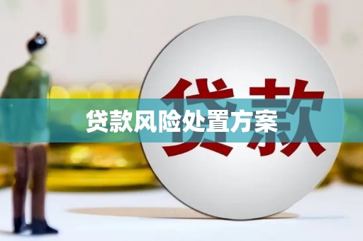 四会贷款风险处置方案