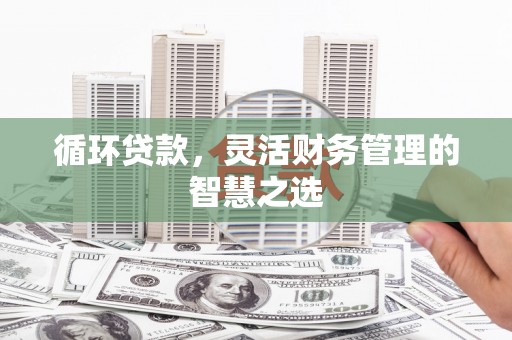 四会循环贷款，灵活财务管理的智慧之选