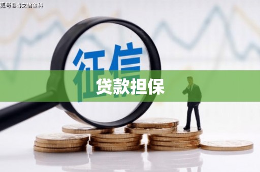 四会贷款担保