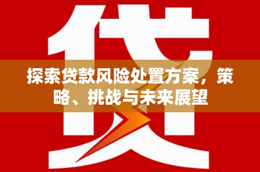 四会探索贷款风险处置方案，策略、挑战与未来展望