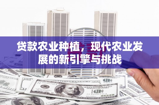 四会贷款农业种植，现代农业发展的新引擎与挑战