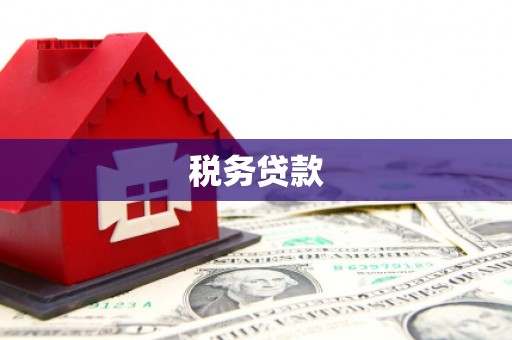 四会税务贷款