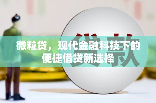四会微粒贷，现代金融科技下的便捷借贷新选择