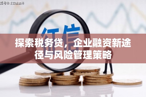 四会探索税务贷，企业融资新途径与风险管理策略