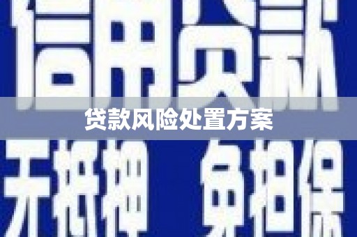 四会贷款风险处置方案