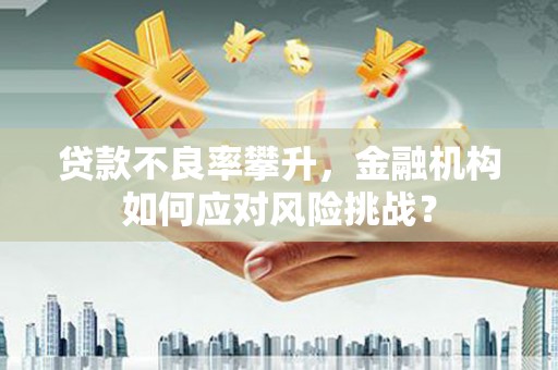 四会贷款不良率攀升，金融机构如何应对风险挑战？