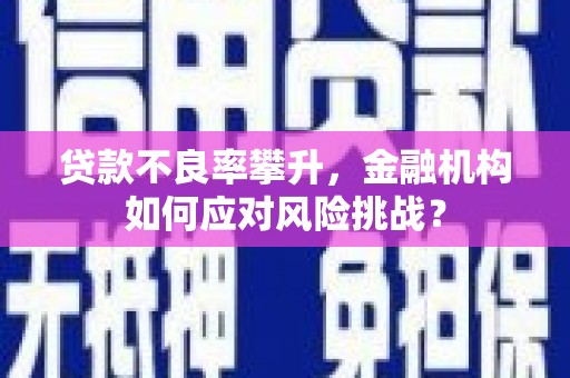 四会贷款不良率攀升，金融机构如何应对风险挑战？