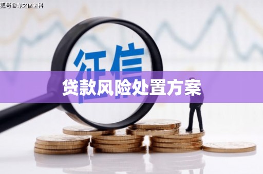 四会贷款风险处置方案