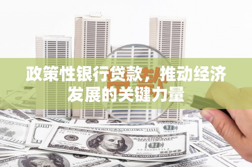 四会政策性银行贷款，推动经济发展的关键力量