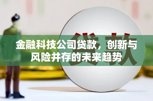 四会金融科技公司贷款，创新与风险并存的未来趋势