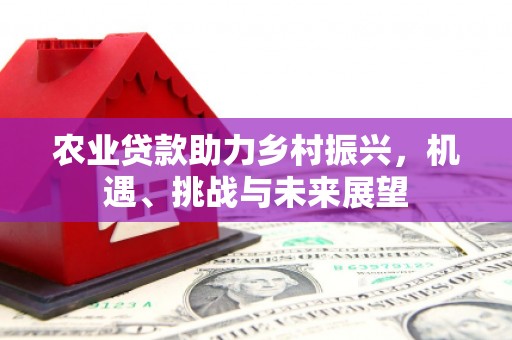 四会农业贷款助力乡村振兴，机遇、挑战与未来展望