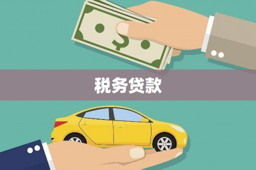 四会税务贷款