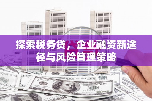 四会探索税务贷，企业融资新途径与风险管理策略