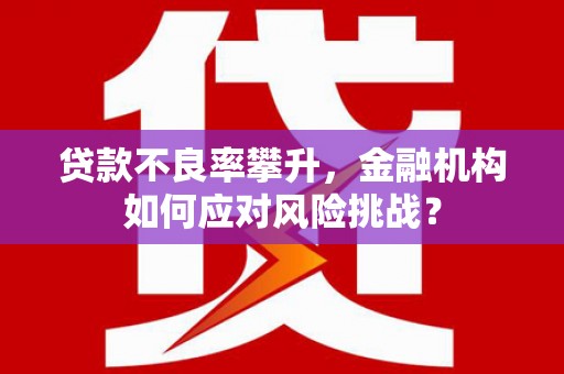 四会贷款不良率攀升，金融机构如何应对风险挑战？