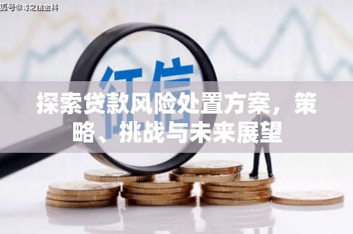 四会探索贷款风险处置方案，策略、挑战与未来展望