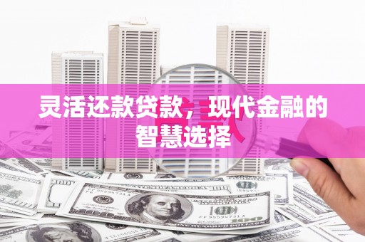 四会灵活还款贷款，现代金融的智慧选择
