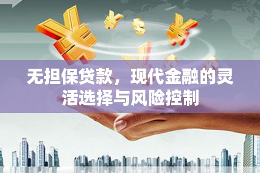 四会无担保贷款，现代金融的灵活选择与风险控制