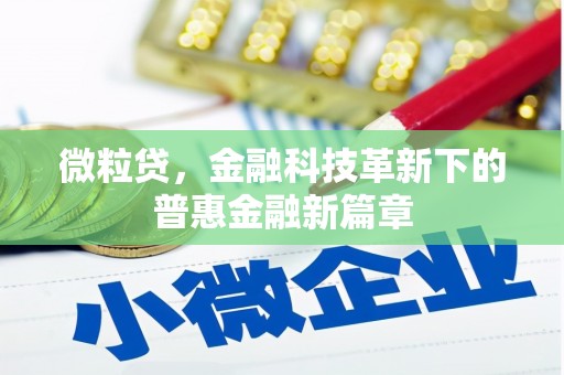 四会微粒贷，金融科技革新下的普惠金融新篇章
