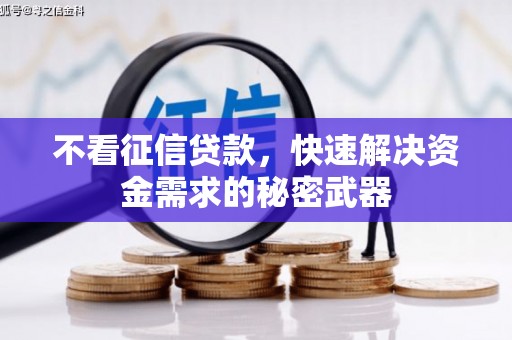 四会不看征信贷款，快速解决资金需求的秘密武器