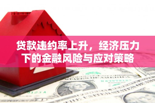 四会贷款违约率上升，经济压力下的金融风险与应对策略