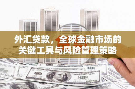 四会外汇贷款，全球金融市场的关键工具与风险管理策略