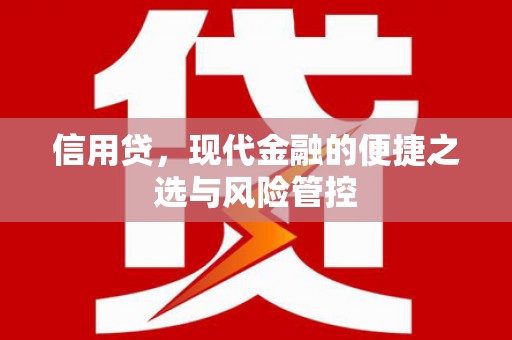 四会信用贷，现代金融的便捷之选与风险管控