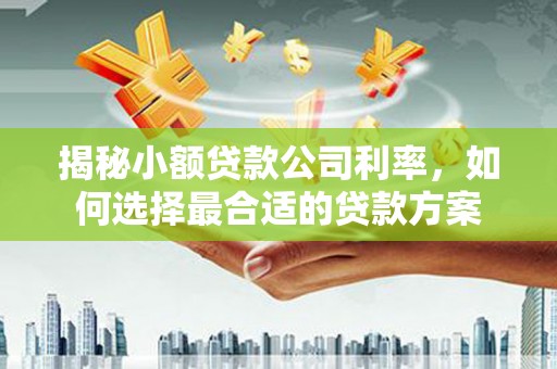 四会揭秘小额贷款公司利率，如何选择最合适的贷款方案