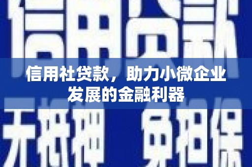 四会信用社贷款，助力小微企业发展的金融利器