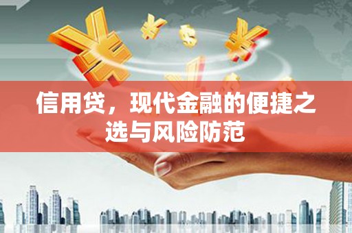 四会信用贷，现代金融的便捷之选与风险防范