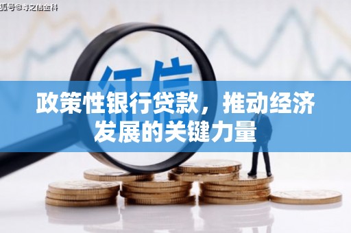 四会政策性银行贷款，推动经济发展的关键力量