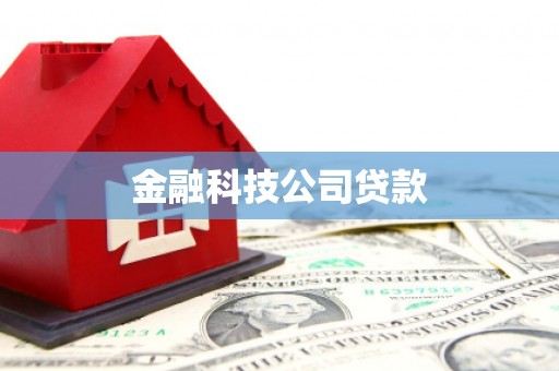 四会金融科技公司贷款