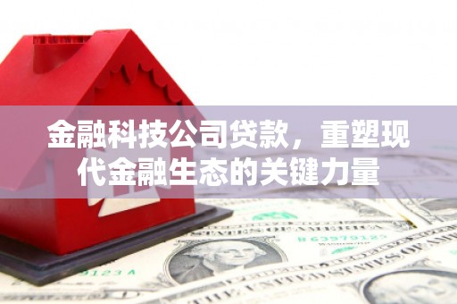四会金融科技公司贷款，重塑现代金融生态的关键力量