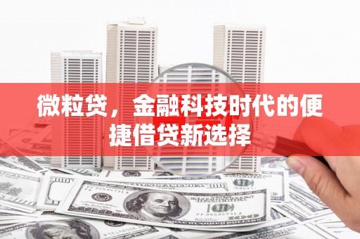 四会微粒贷，金融科技时代的便捷借贷新选择