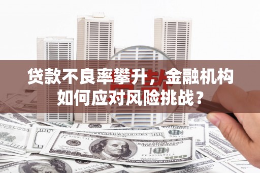 四会贷款不良率攀升，金融机构如何应对风险挑战？