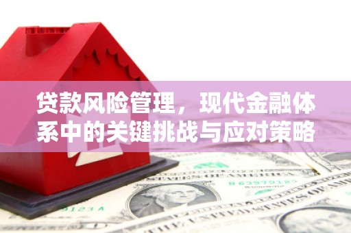 四会贷款风险管理，现代金融体系中的关键挑战与应对策略