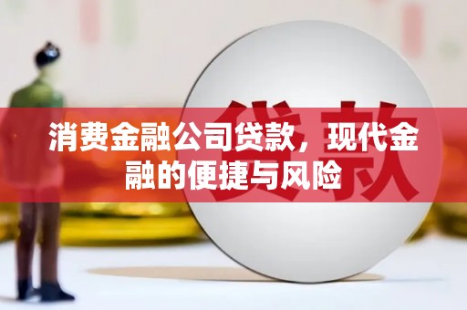 四会消费金融公司贷款，现代金融的便捷与风险