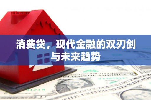 四会消费贷，现代金融的双刃剑与未来趋势