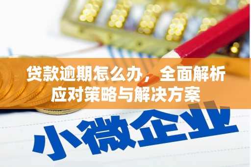 四会贷款逾期怎么办，全面解析应对策略与解决方案